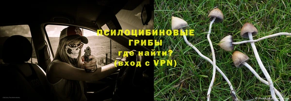 бутират Гусь-Хрустальный