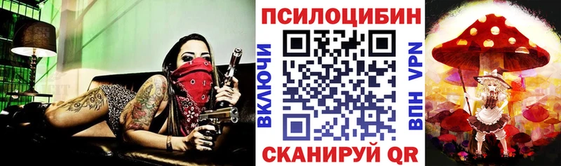 Купить где  Валуйки  Псилоцибиновые грибы MAGIC MUSHROOMS 