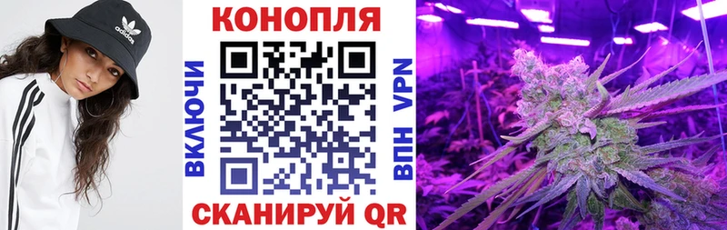 Каннабис план Валуйки